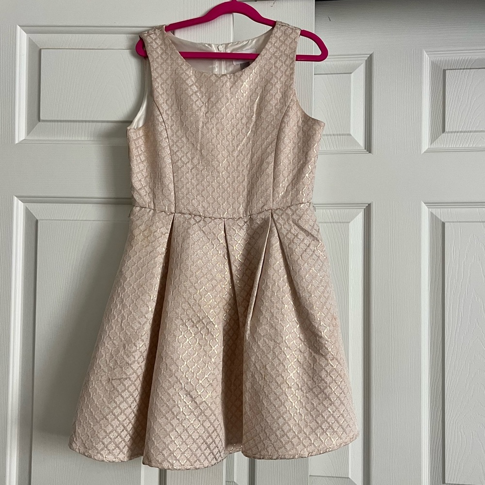 Rose Gold Dress